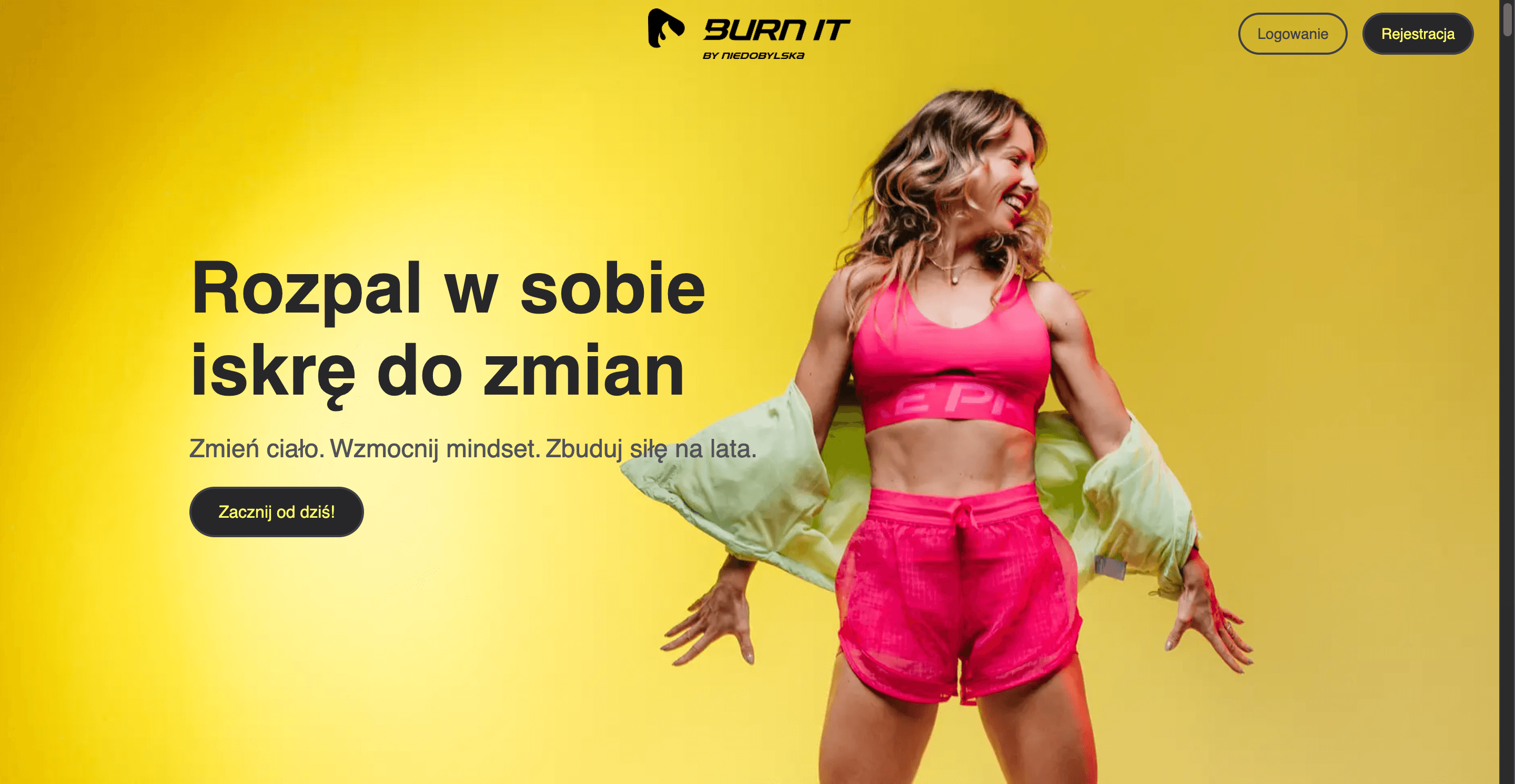 BurnIt interface